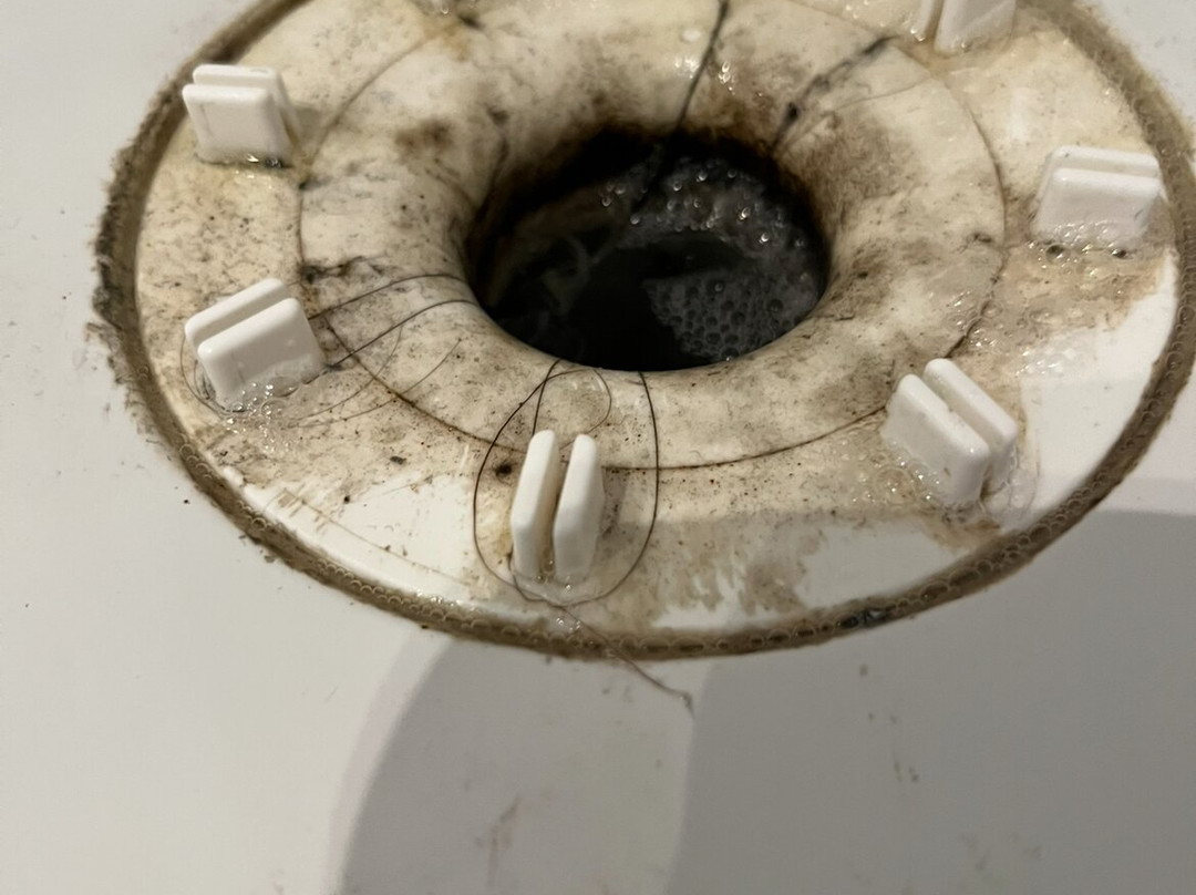 Toby Carvery Strathclyde, M74 J6 by Innkeeper's Collection主图