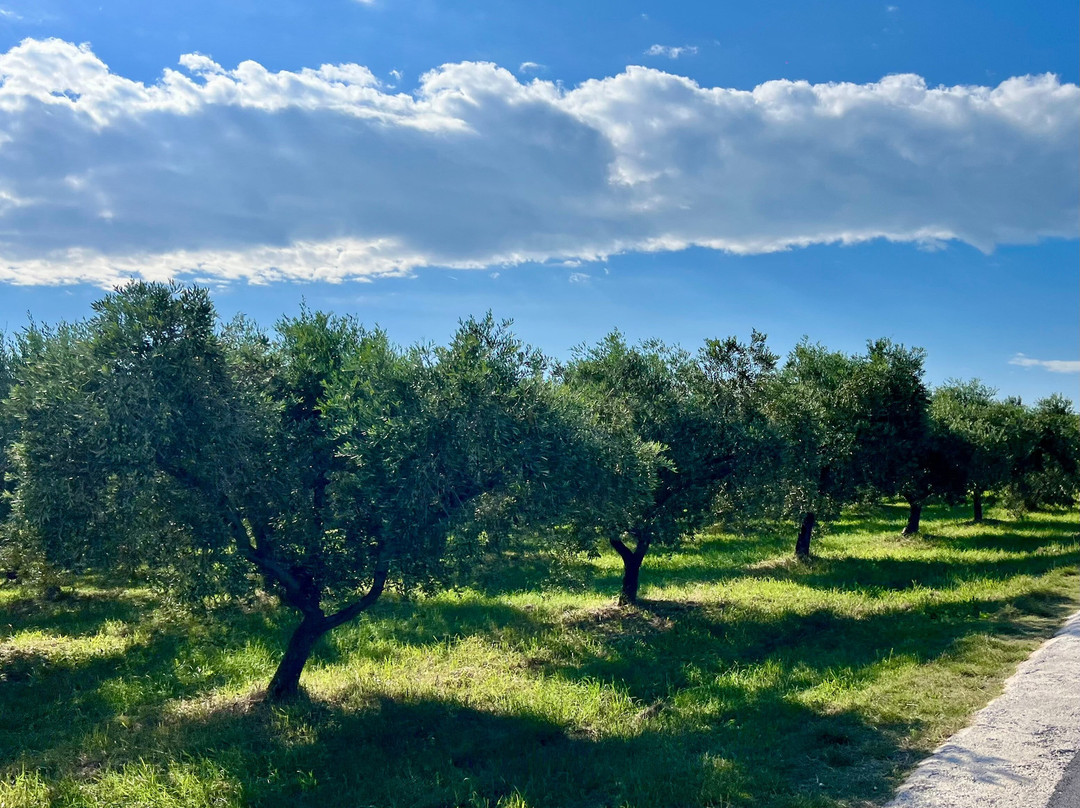 Rent a Boat Bernardin-波多若斯必去景点