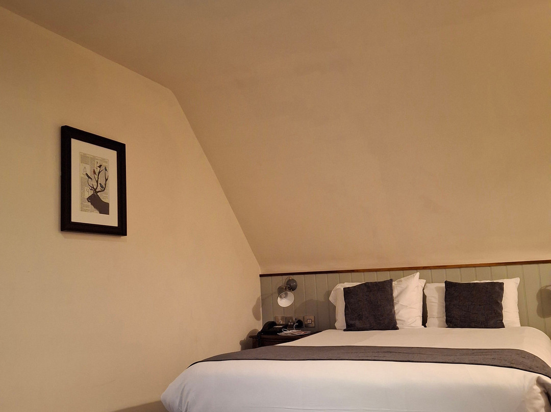 Dartbridge Inn Hotel主图