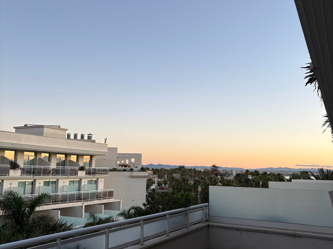 帕拉斯大酒店主图