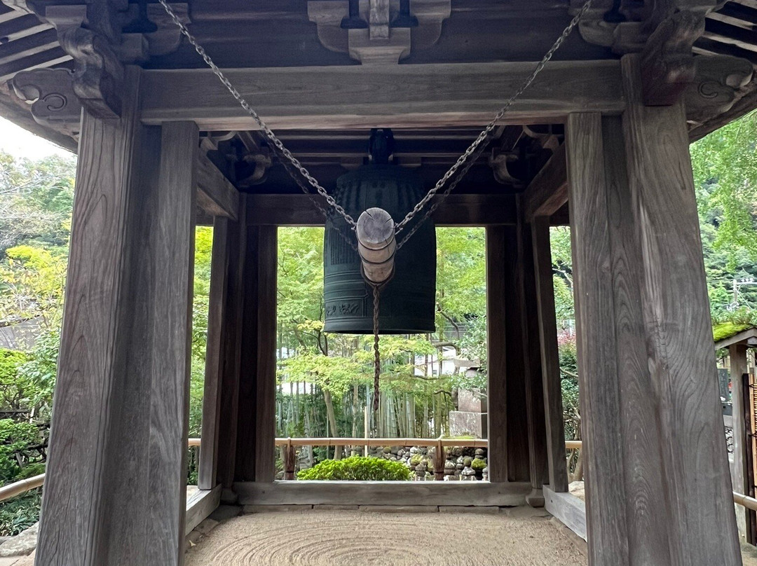 Hokoku-ji Temple Bamboo Grove-镰仓市必去景点
