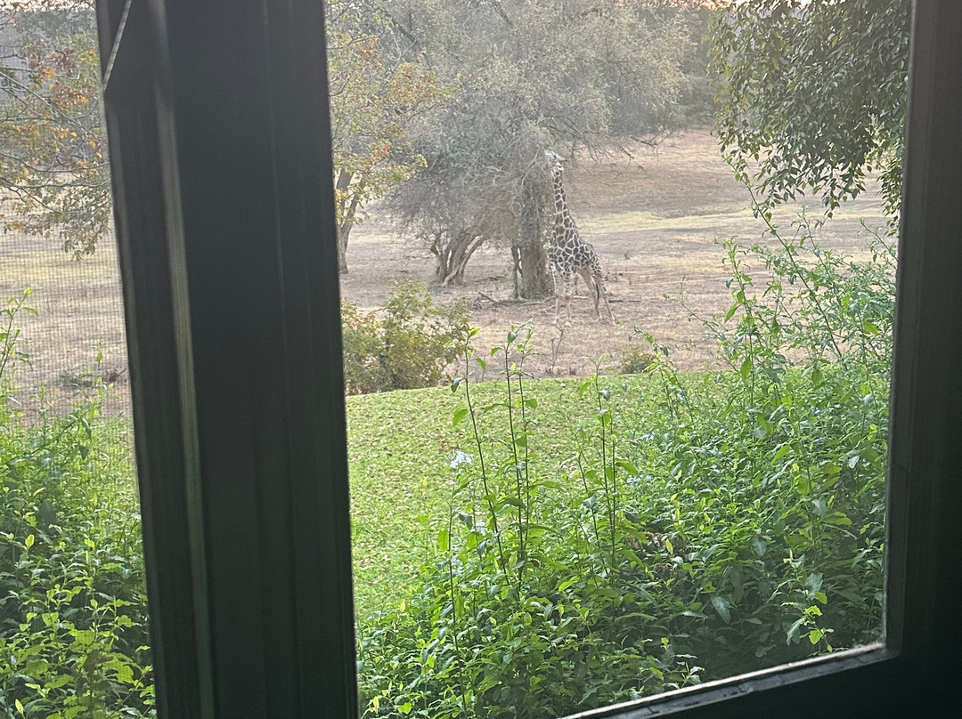 Anantara Stanley & Livingstone Victoria Falls Hotel主图