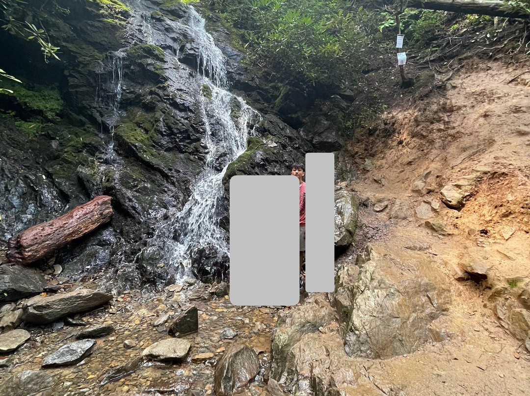 Cataract Falls-大雾山国家公园必去景点