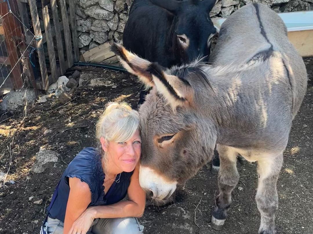 Brac Animal Sanctuary-Nerezisca必去景点