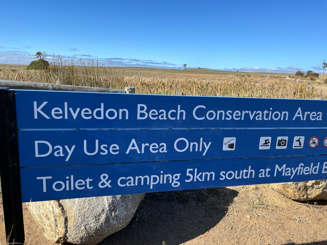 Spiky Beach Conservation Area-斯旺西必去景点