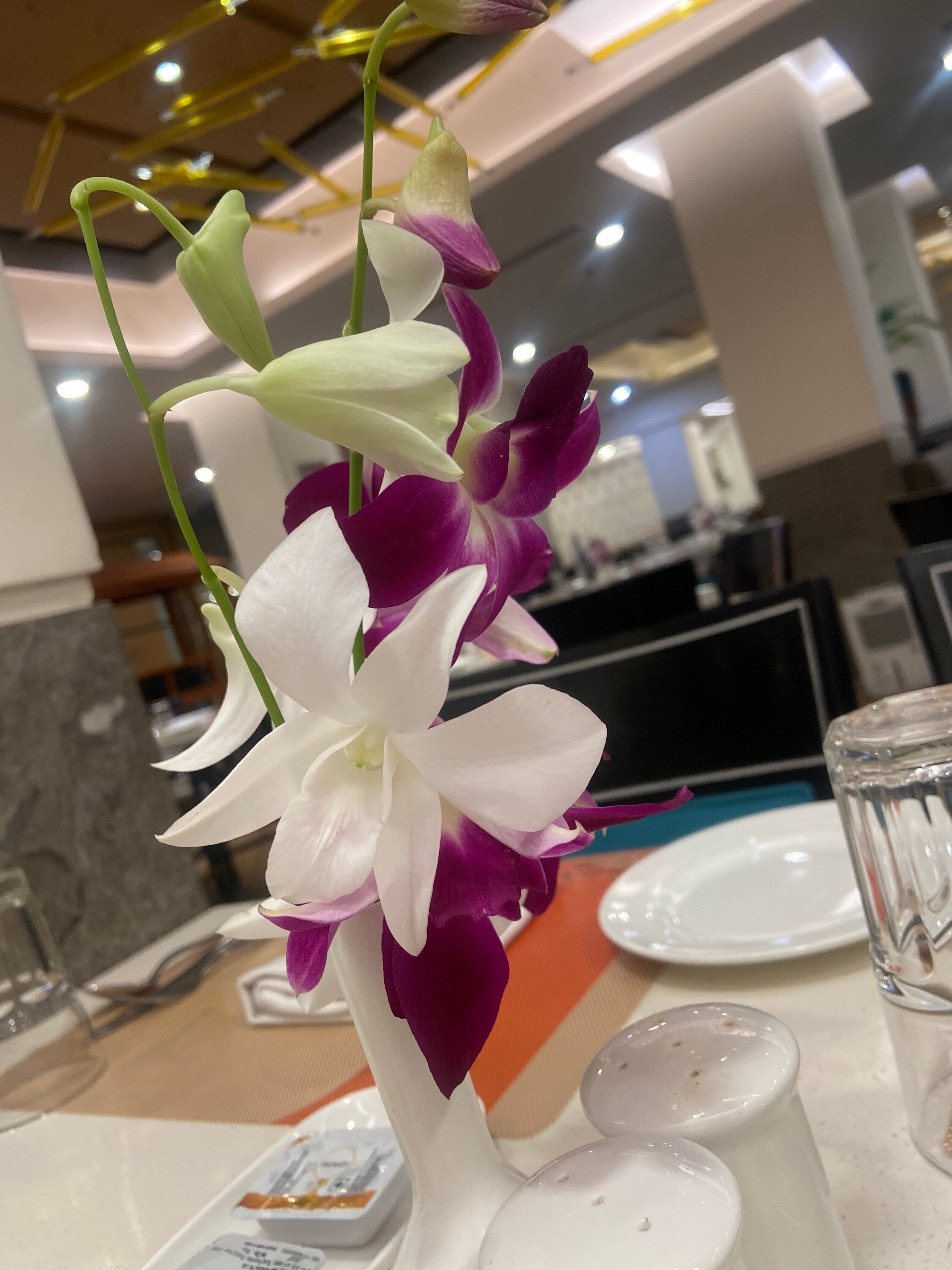 Fortune Park Galaxy, Vapi - Member ITC Hotel's Group-官方