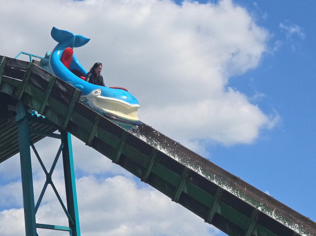 potts park-明登必去景点