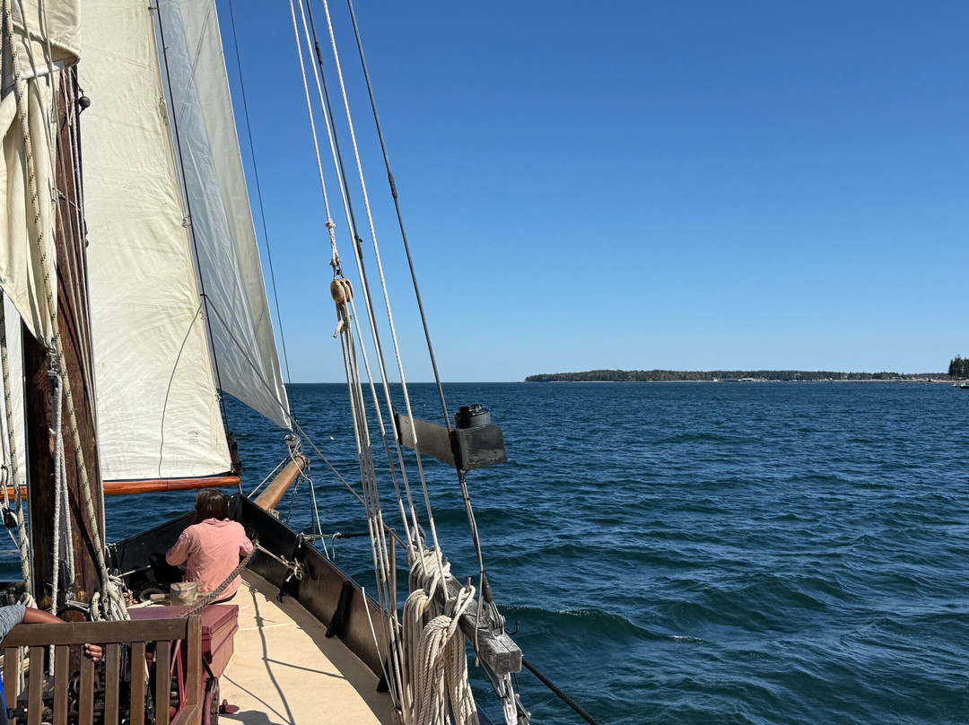 Ambergris Voyages-Southwest Harbor必去景点