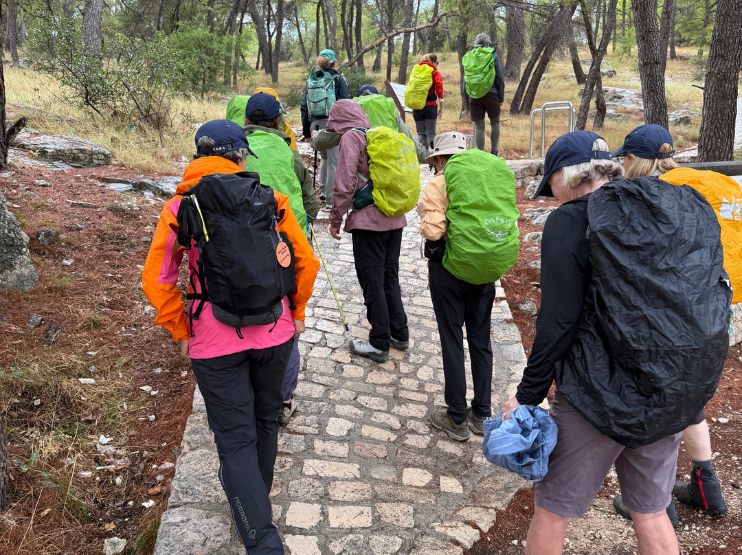 GirlsTrek-布里斯班必去景点