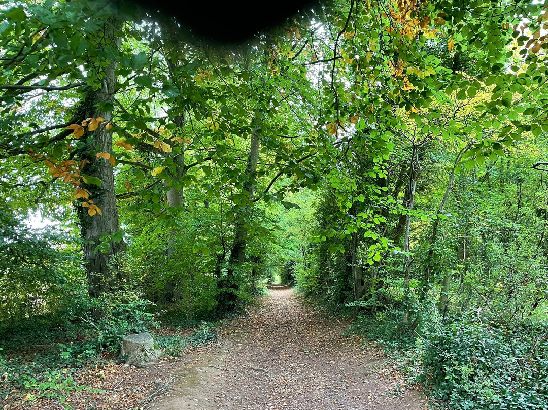 Cotswold Electric Bike Tours-Kingham必去景点