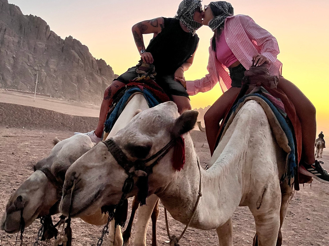 Bibo Viaggi-沙姆沙伊赫必去景点