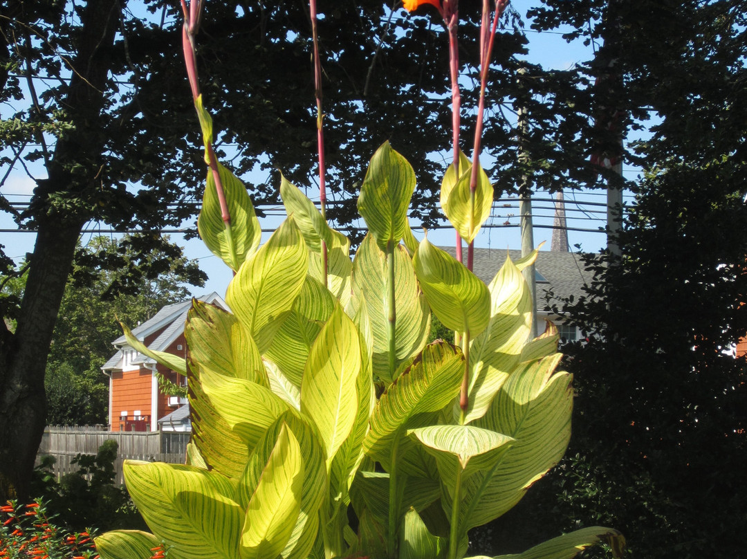 Zwaanendael Museum-刘易斯必去景点