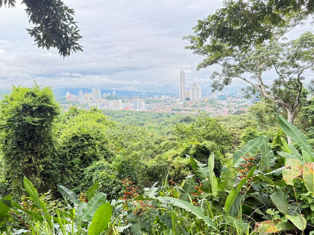 Metropolitan National Park-巴拿马城必去景点