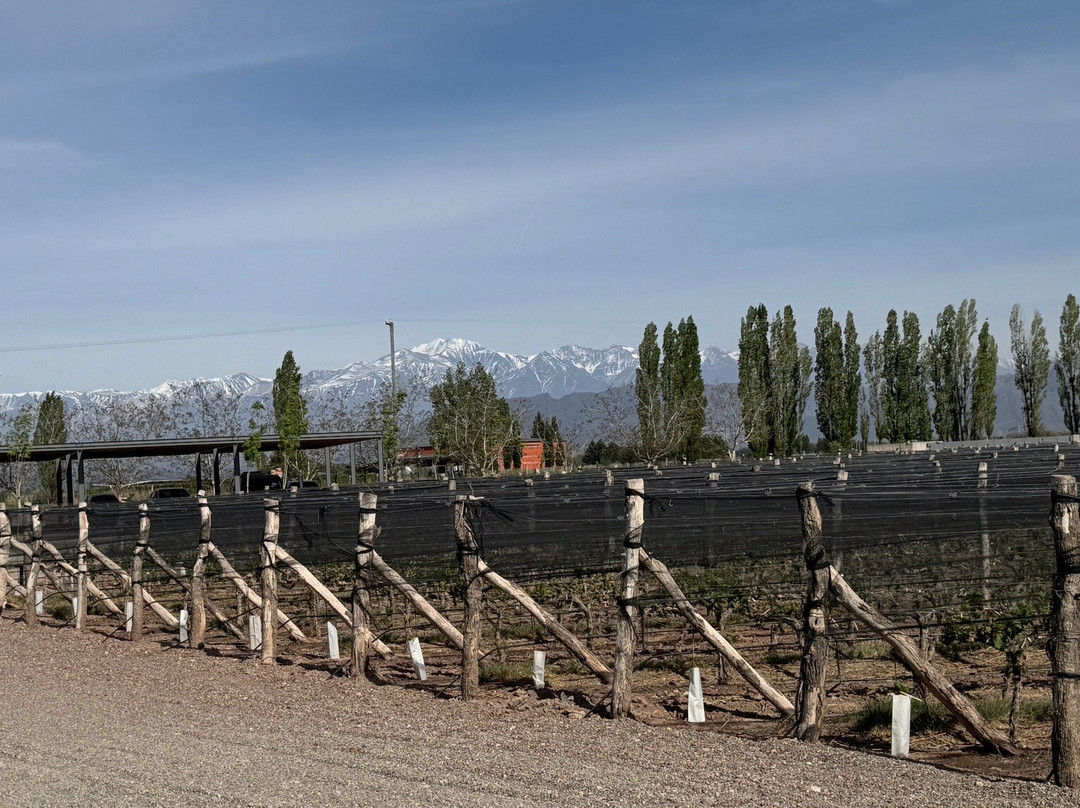 Vina Cobos-路冉得库约必去景点