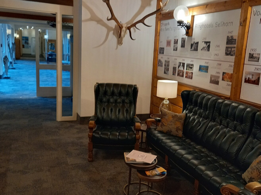 Ringhotel Sellhorn主图
