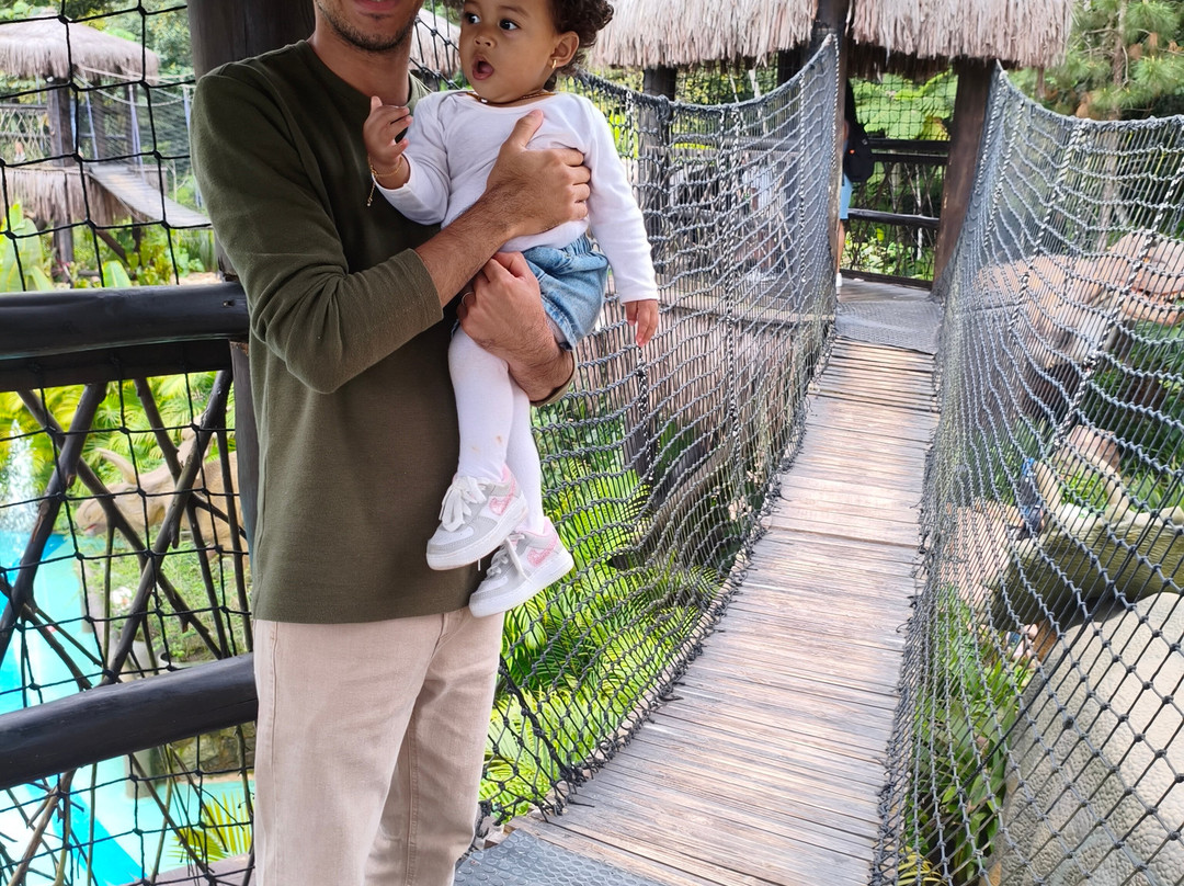 Aventura Jurássica-康泊琉海水浴场必去景点