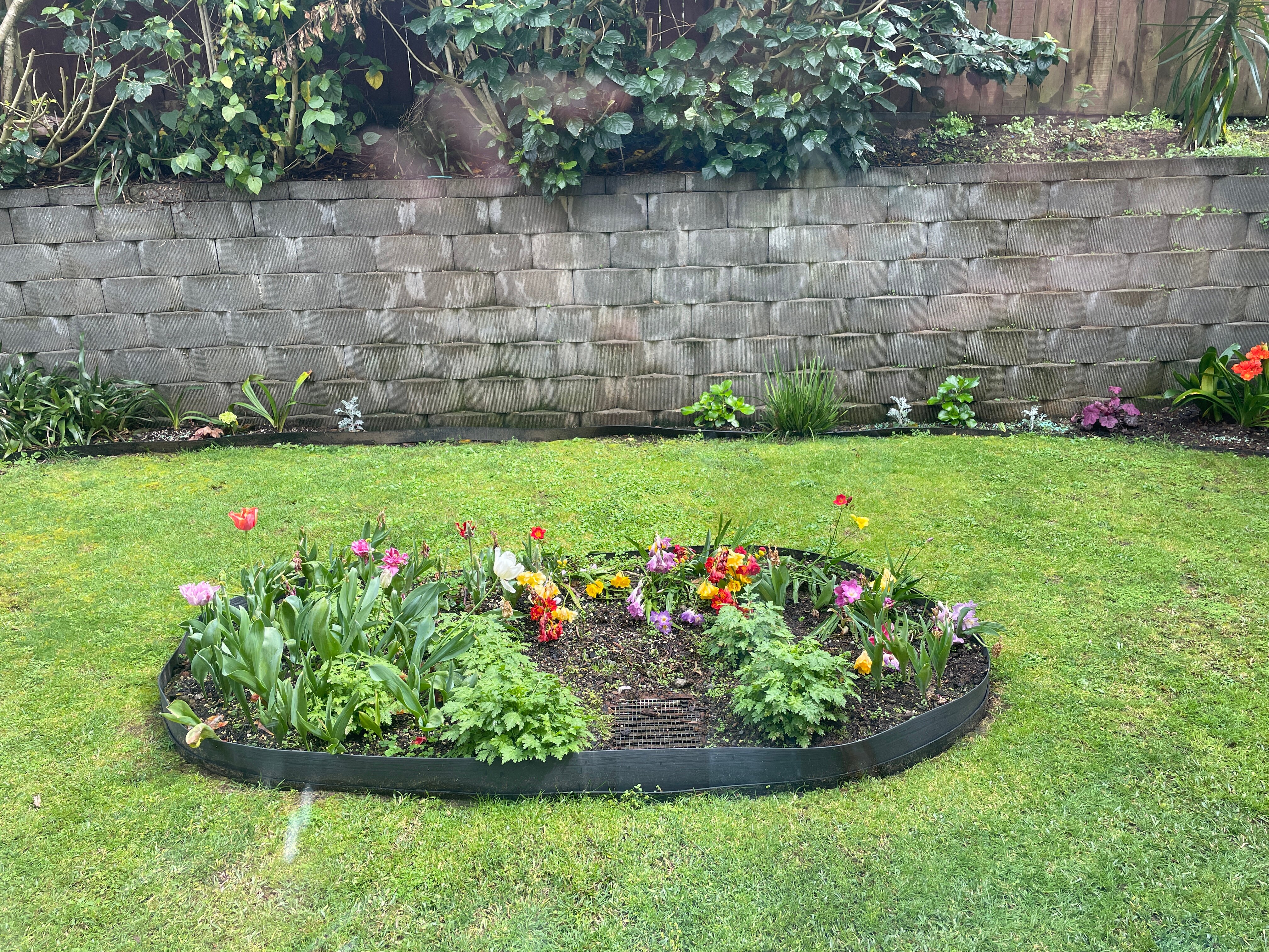 Bella Vista Motel Whangarei-酒店景观