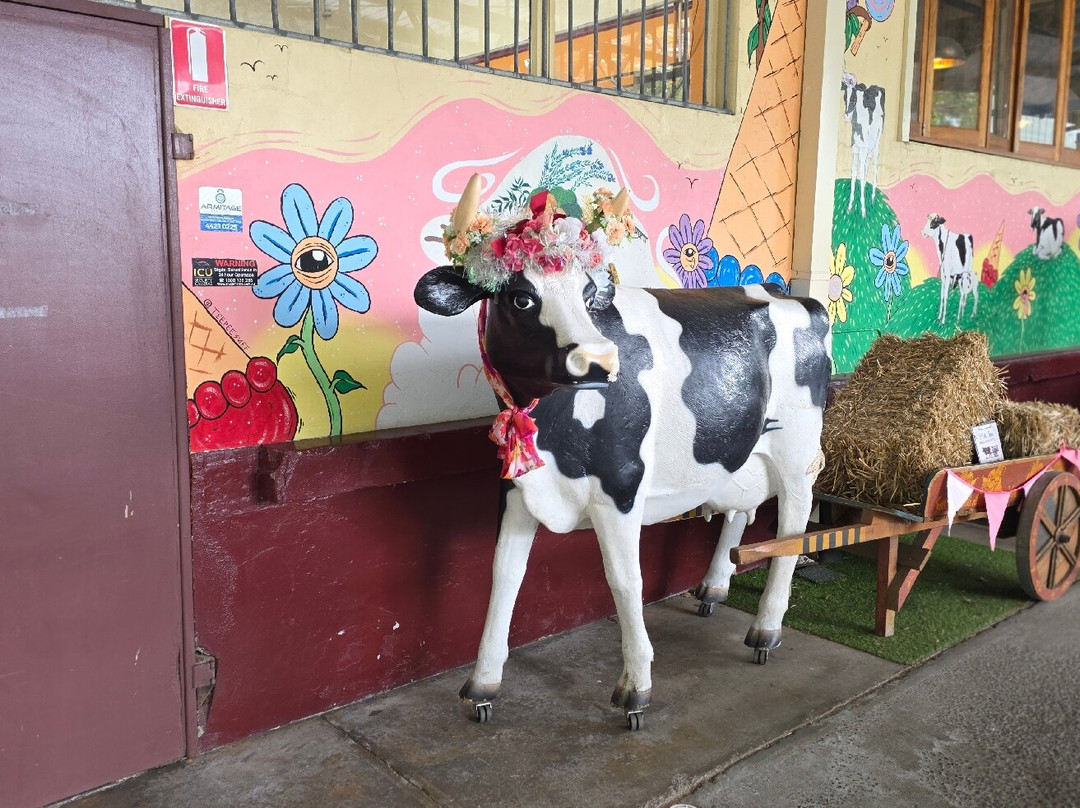 The Treat Factory-Berry必去景点