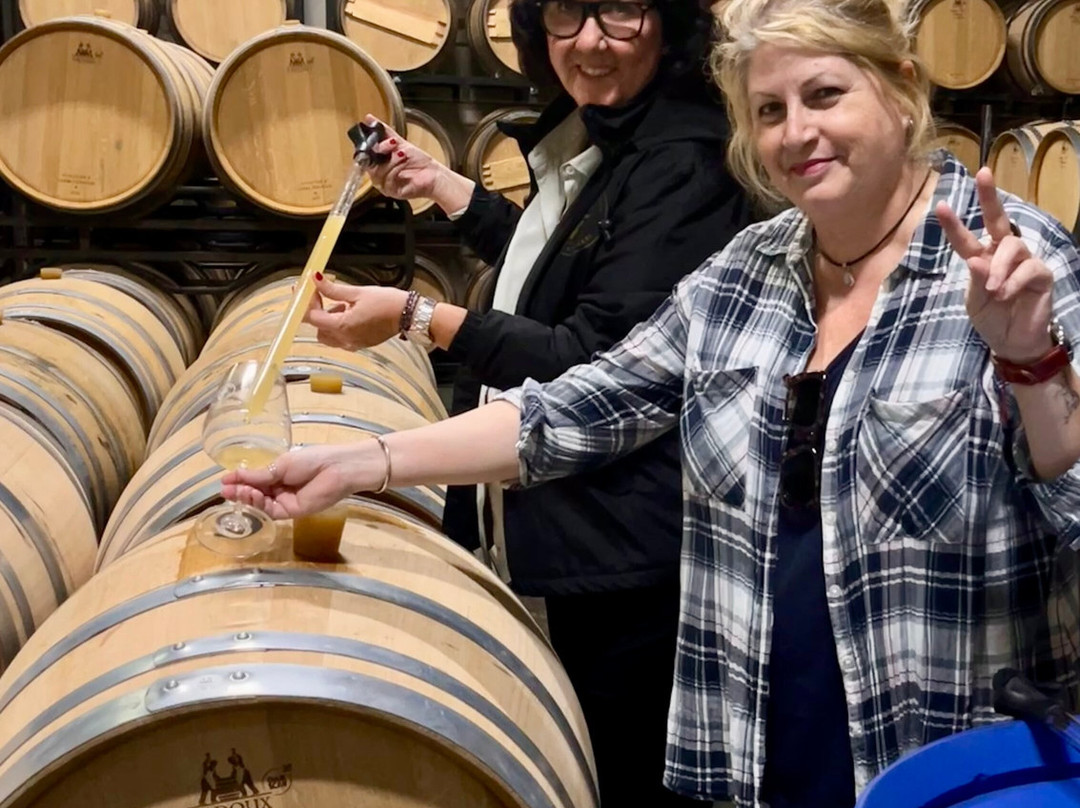 Bodegas Volver-Pinoso必去景点