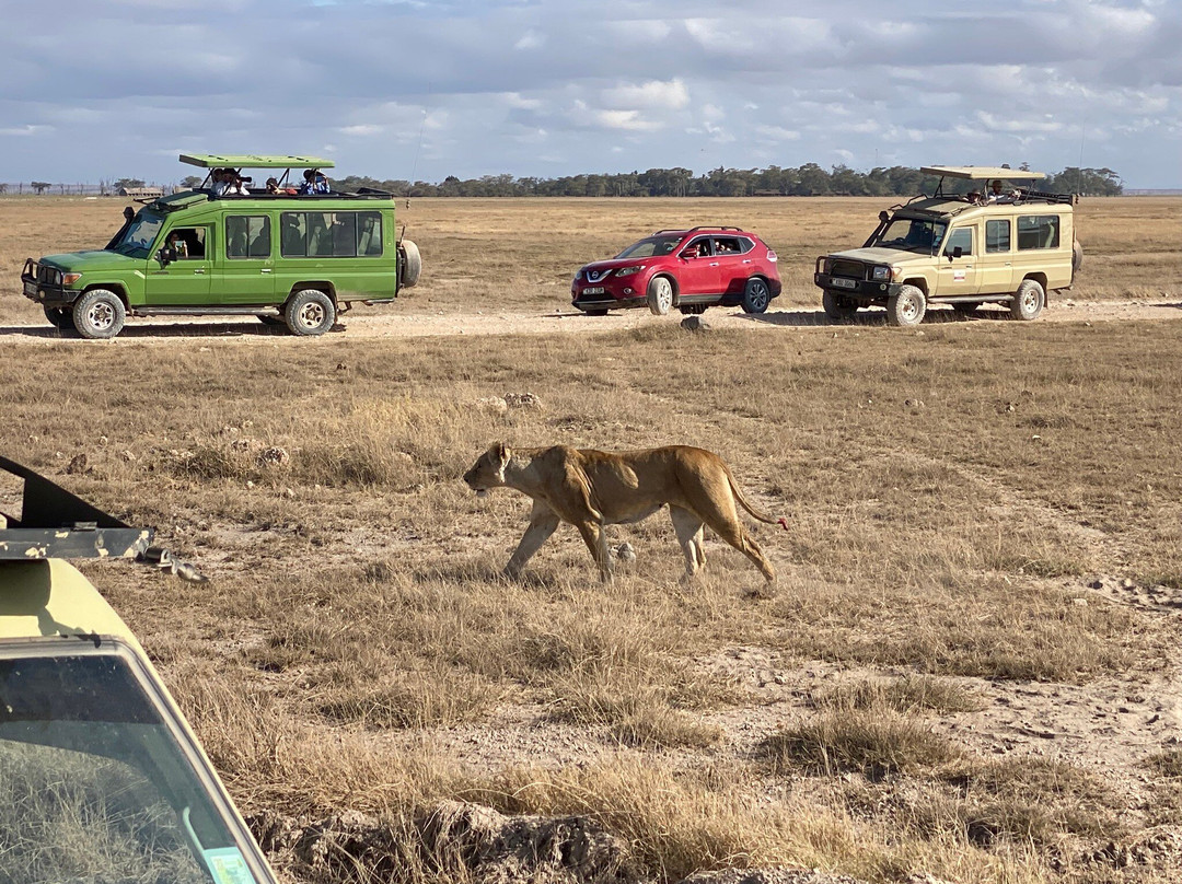 Antonio Safaris-Karen必去景点