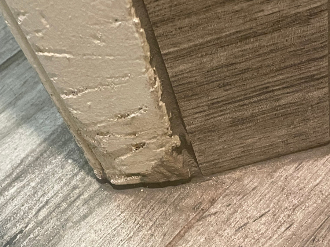 Quality Inn & Suites Albany主图