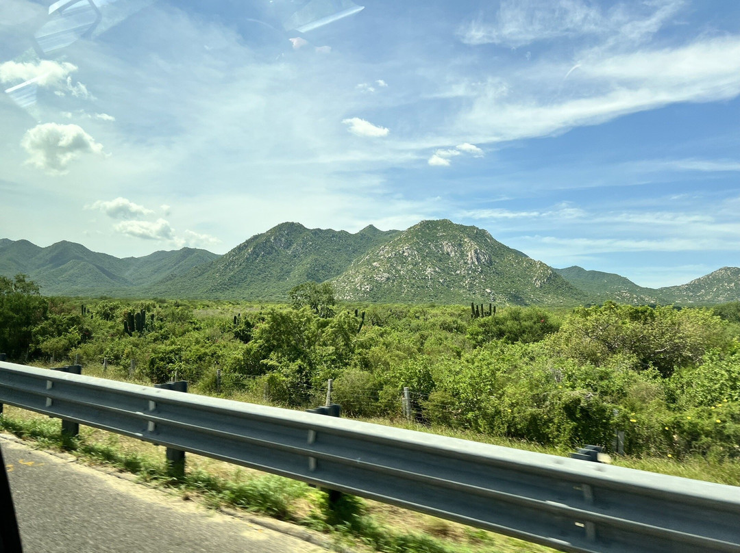 Cabo Lindo Transport-卡波圣卢卡斯必去景点