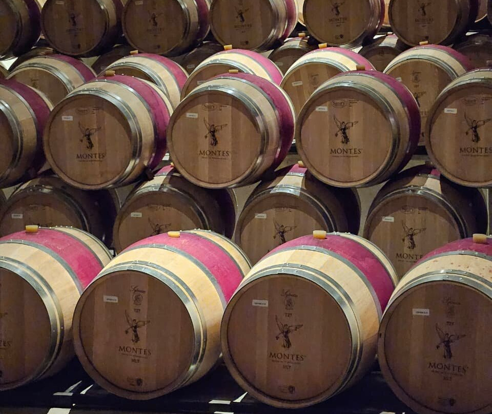 Colchagua Wine Tours-圣克鲁斯必去景点