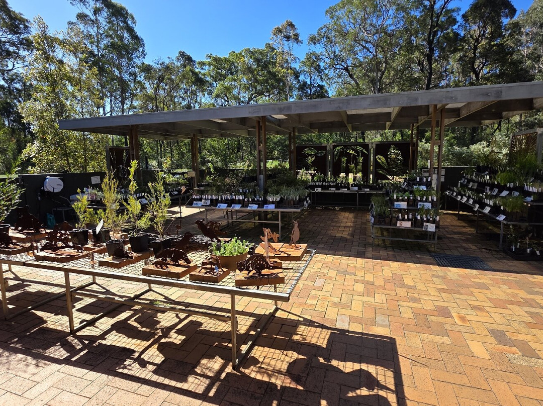 Eurobodalla Regional Botanic Gardens-巴特曼斯贝必去景点