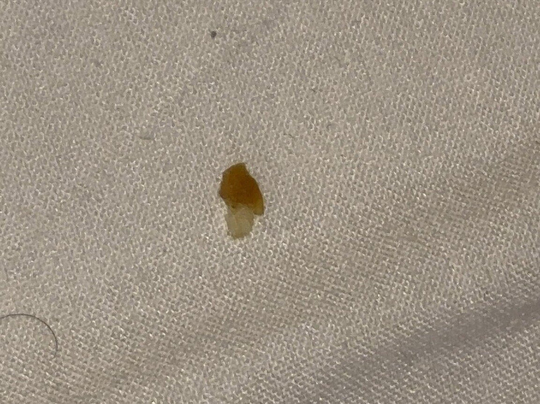 Quarrie House Guesthouse主图