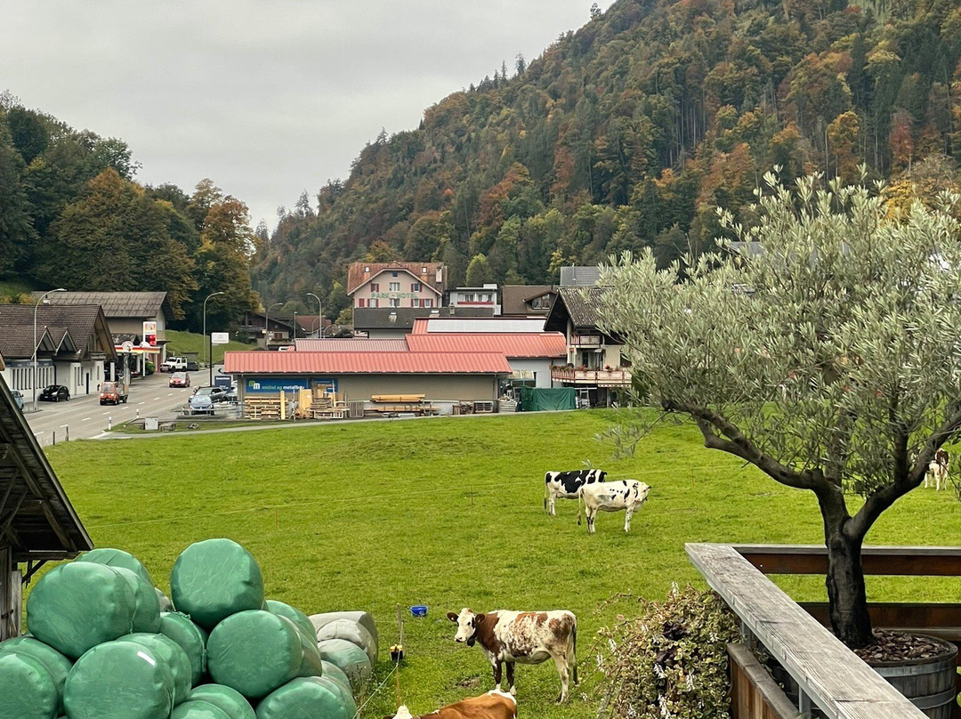 布格斯里酒店餐厅主图