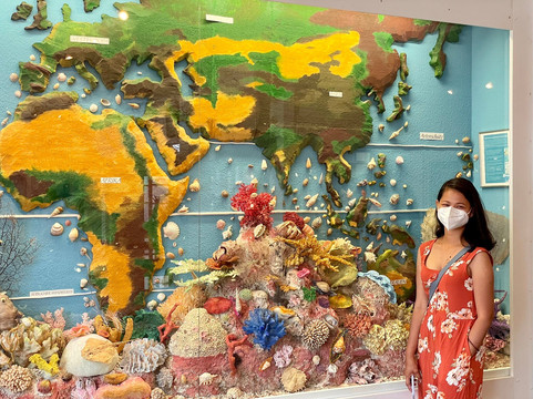 Muschelmuseum Hooksiel-Wangerland必去景点