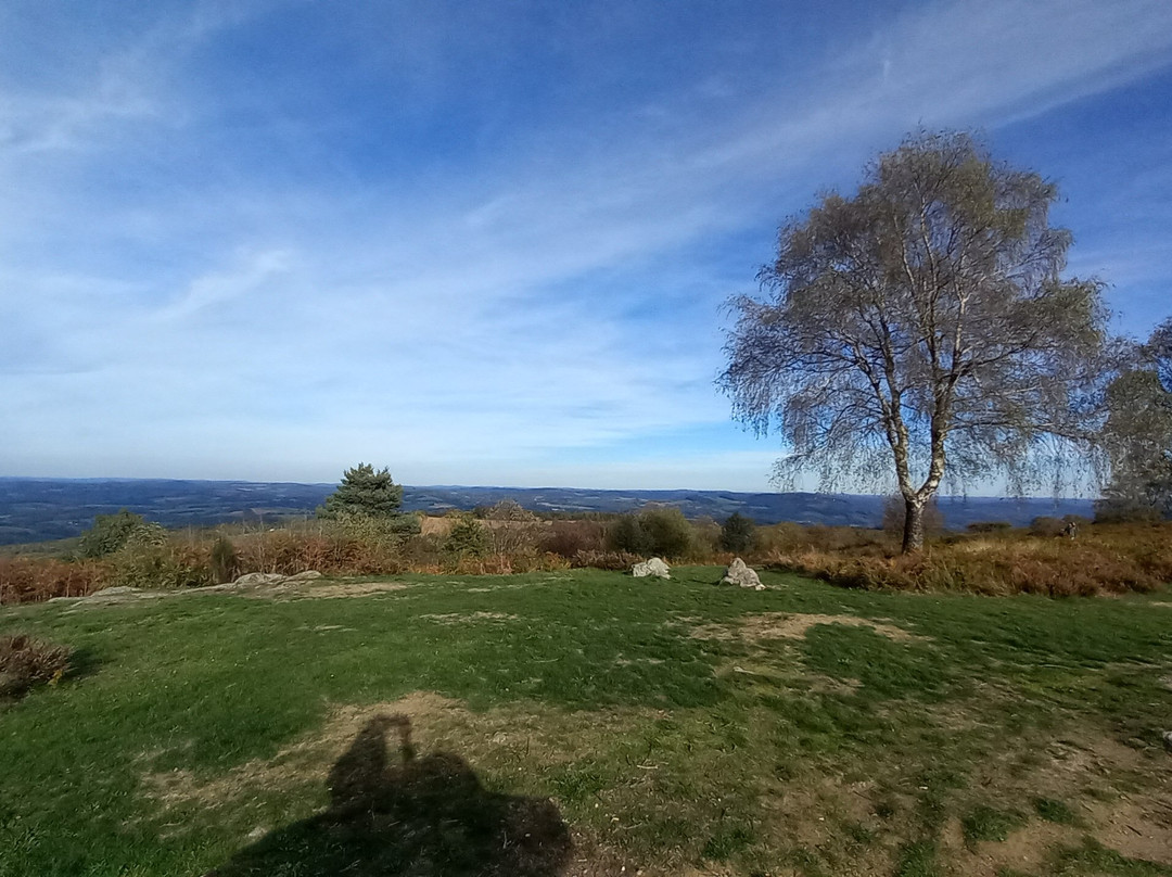 Mont Gargan-Saint-Gilles-les-Forets必去景点