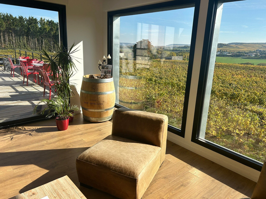 Champagne Piot-Sévillano-Vincelles必去景点