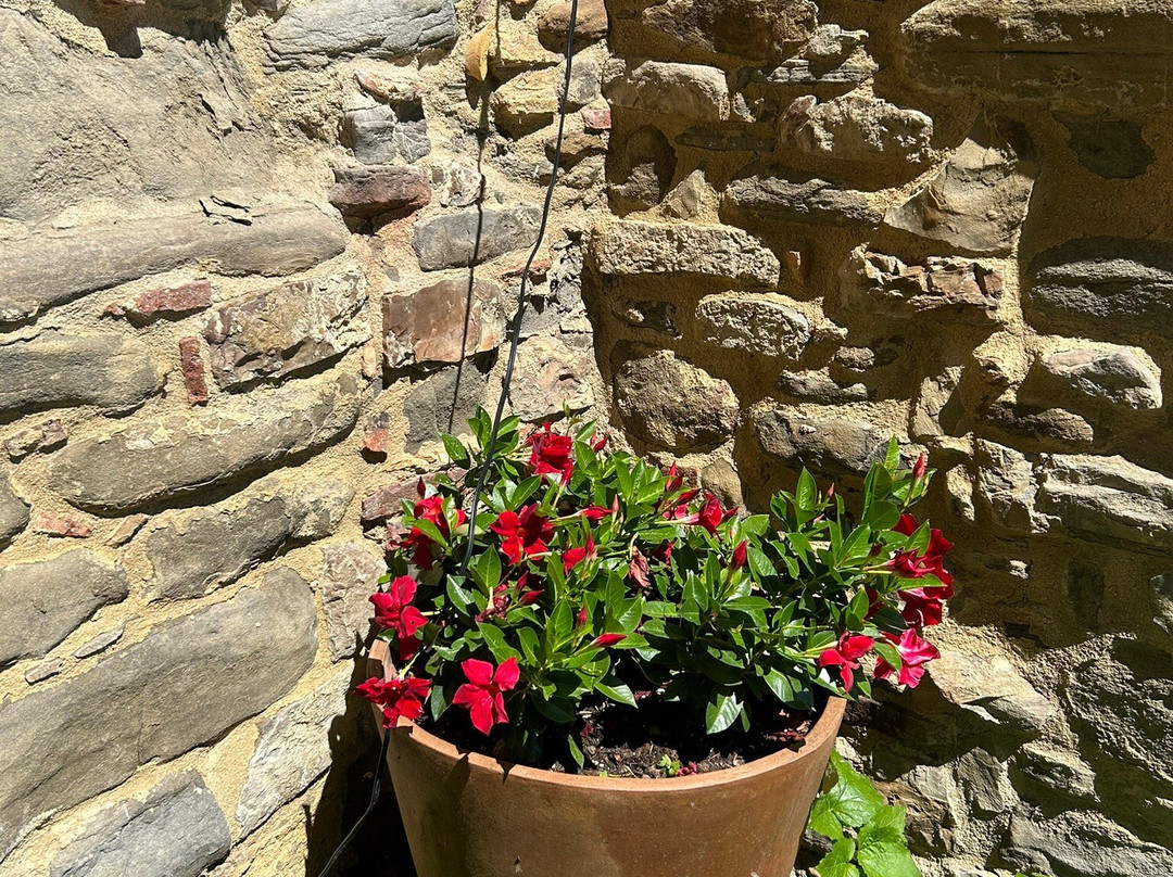 Abbazia di San Faustino