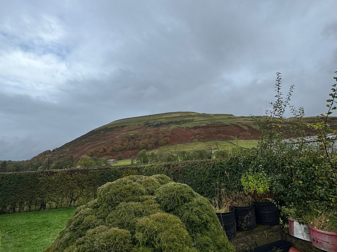 Kearton Country Hotel主图