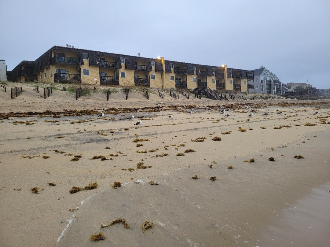 The Golden Strand主图