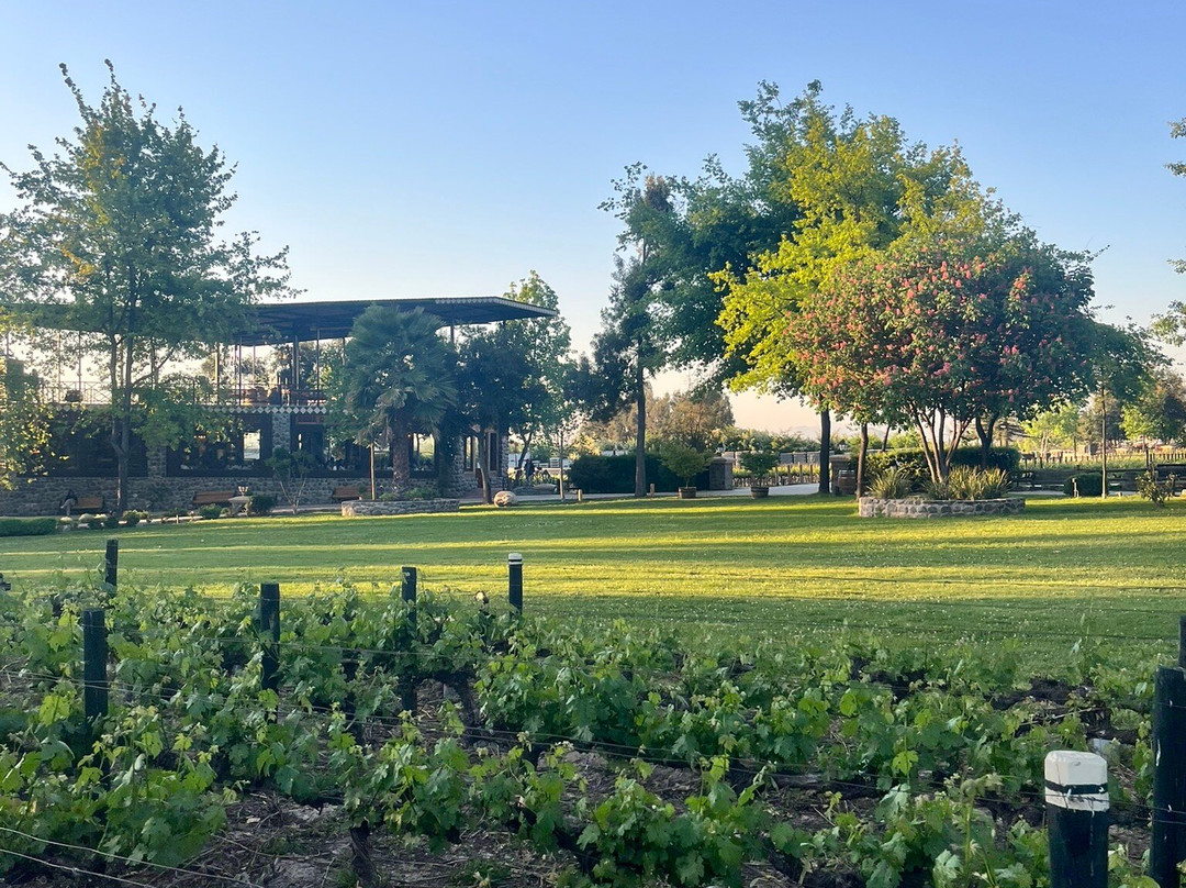 Alyan Family Wines-Pirque必去景点