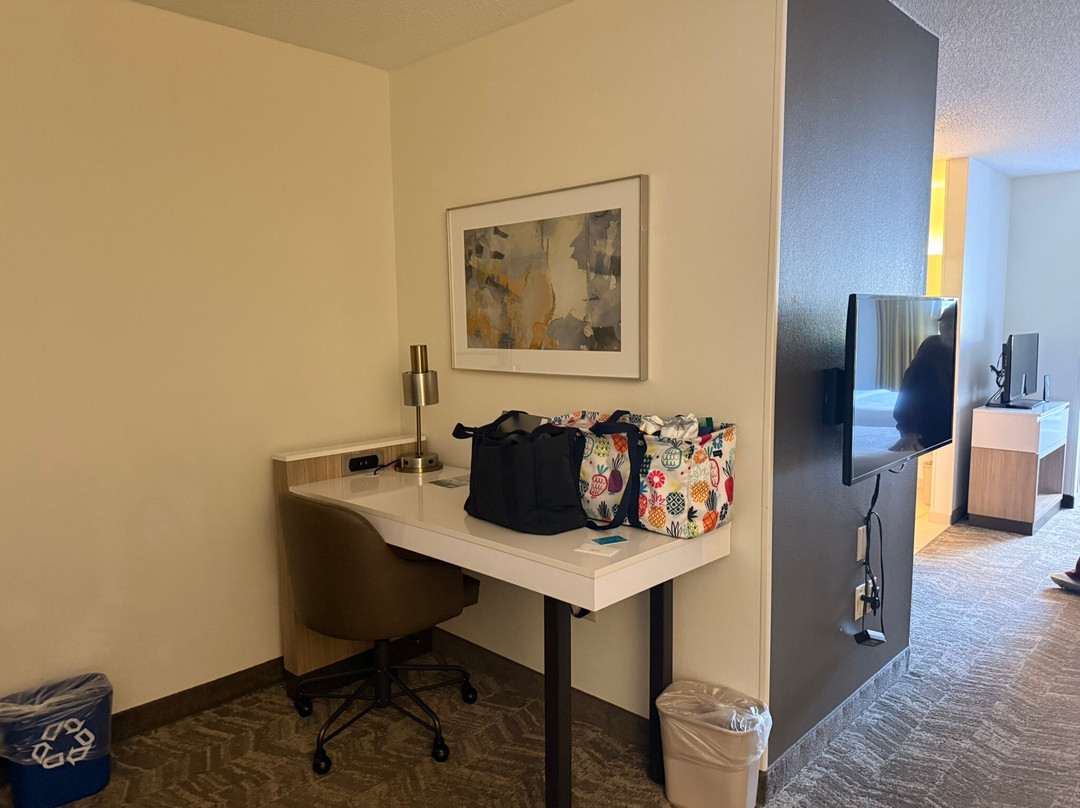 SpringHill Suites by Marriott Minneapolis-St. Paul Airport/Eagan主图