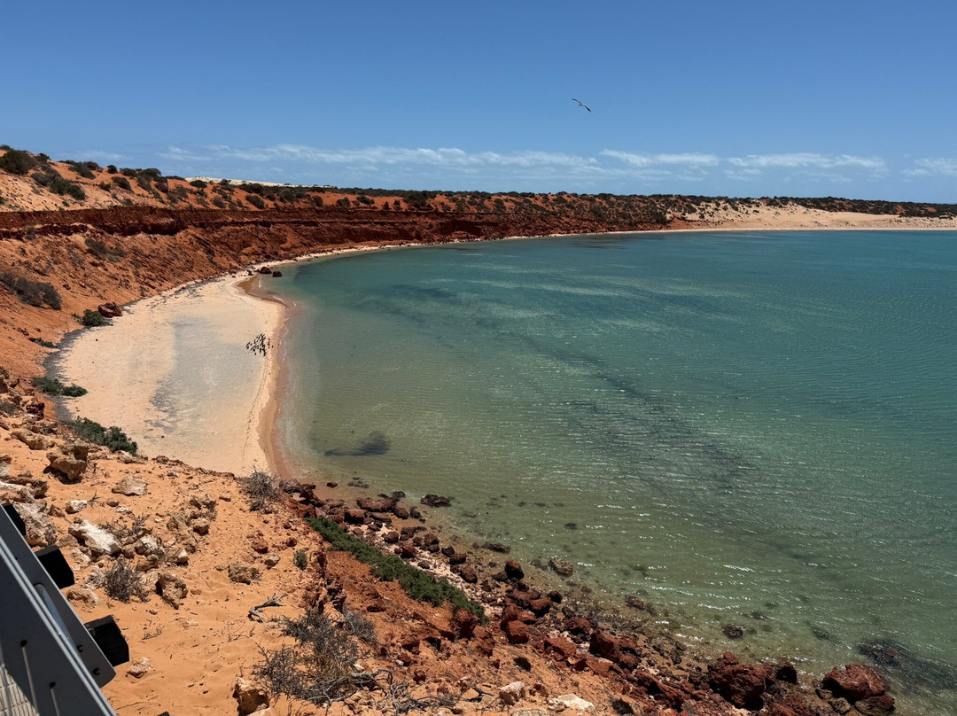 Wildsights-德纳姆必去景点