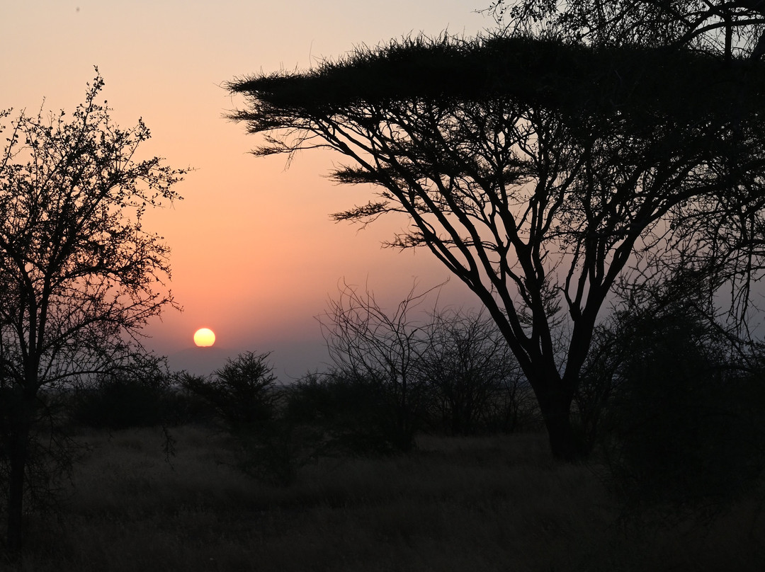 Absolute Ethiopia Tours-亚的斯亚贝巴必去景点