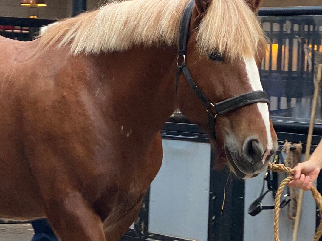 Home of Carlsberg-哥本哈根必去景点