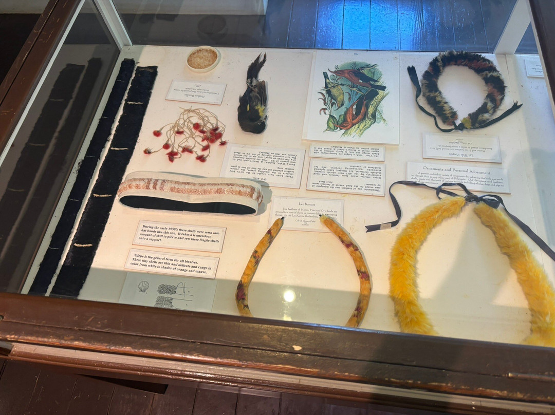 贝利之家博物馆-怀露库必去景点