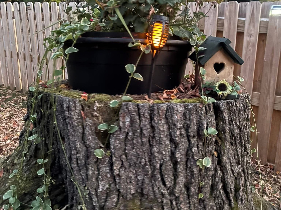 Nelson's Cottages主图