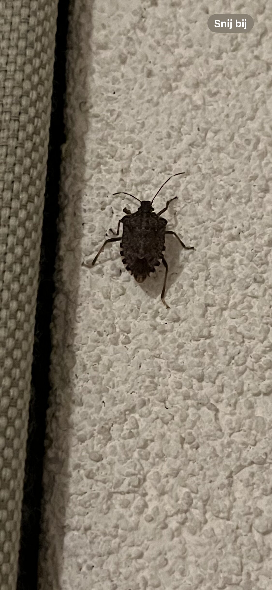 Appartementen Valkenburg-官方