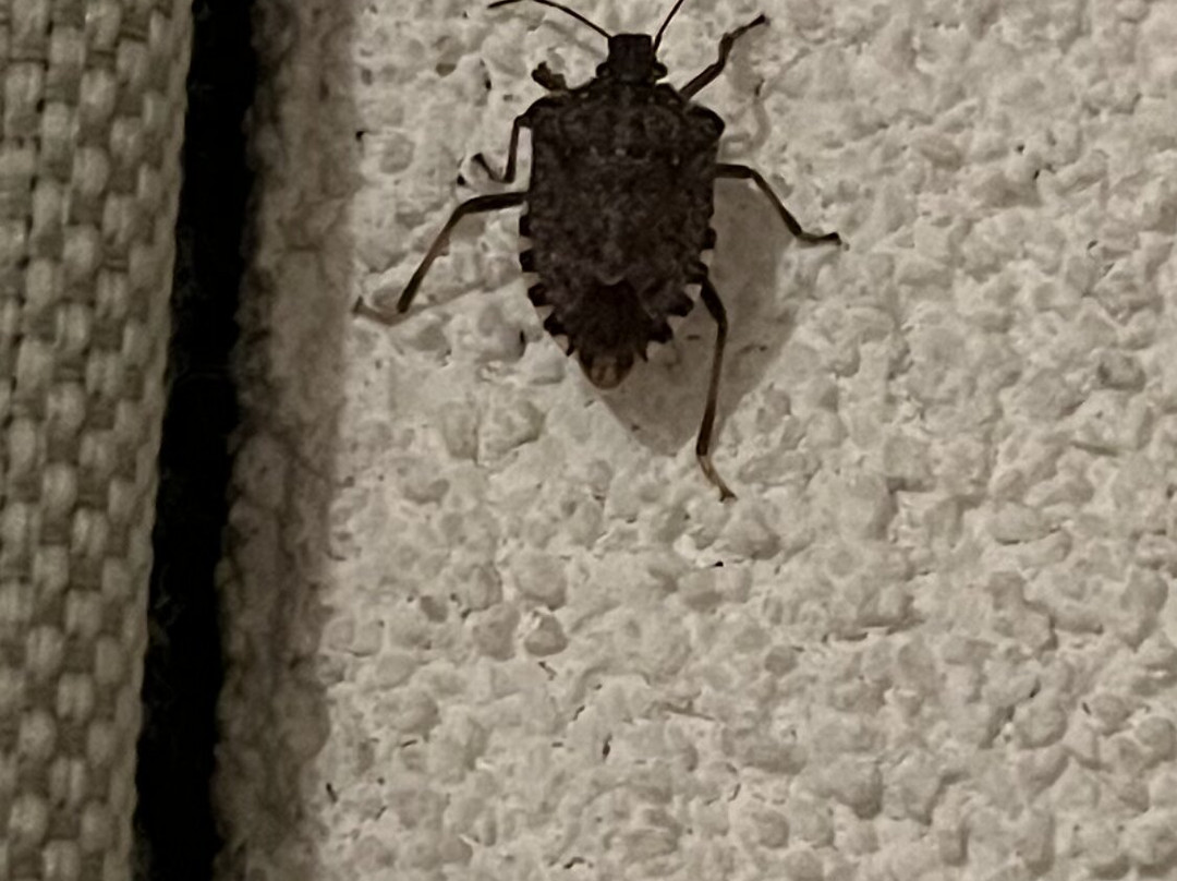 Appartementen Valkenburg主图