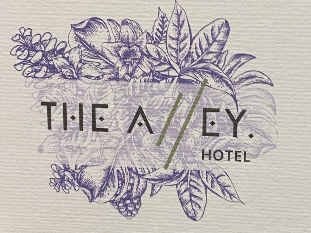 The Alley City Hotel & Spa主图
