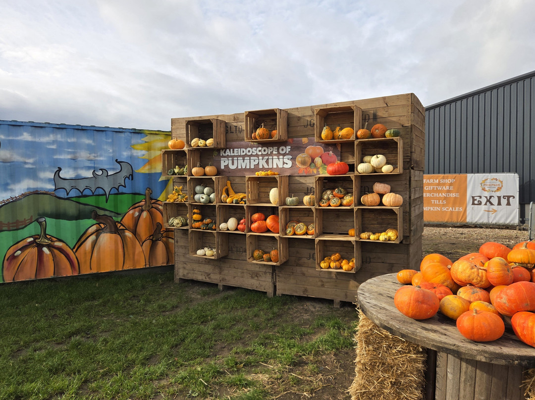 Farmer Copleys-庞蒂弗拉克特必去景点