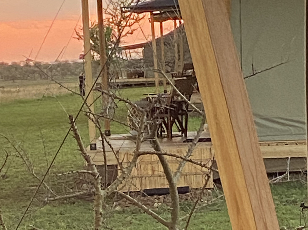 Wildlands Safaris (T) Ltd-塞伦盖蒂国家公园必去景点