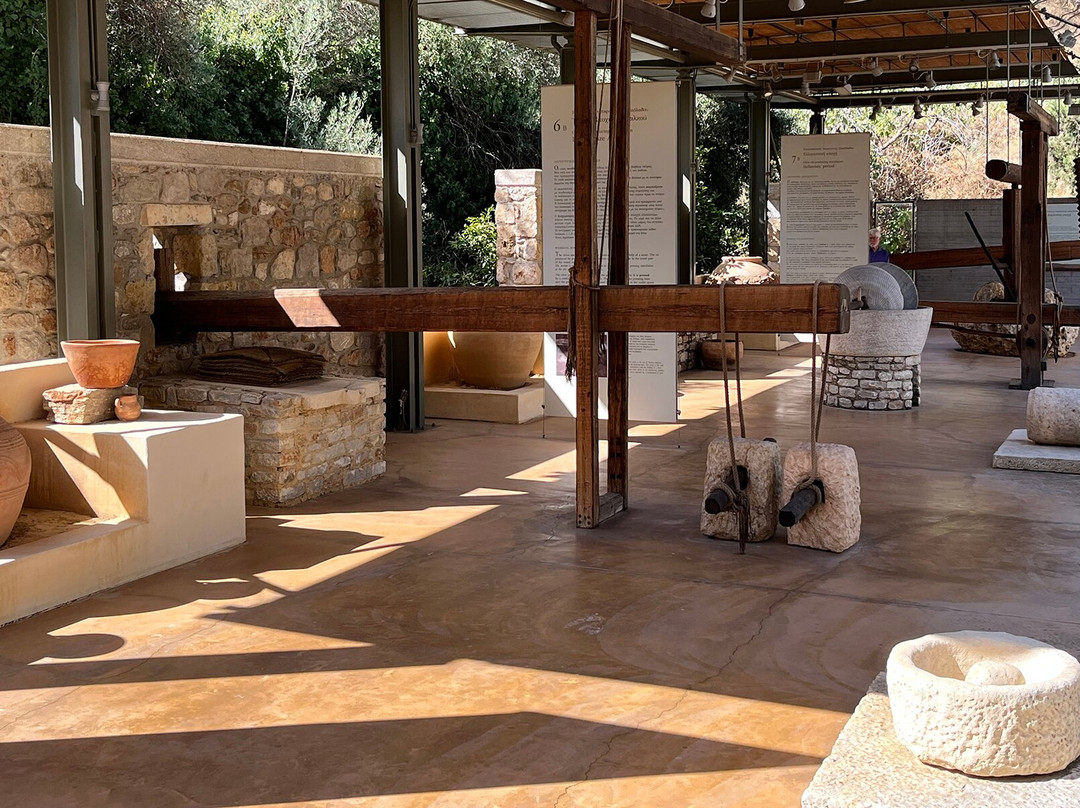 Museum of the Olive and Greek Olive Oil-Sparta必去景点