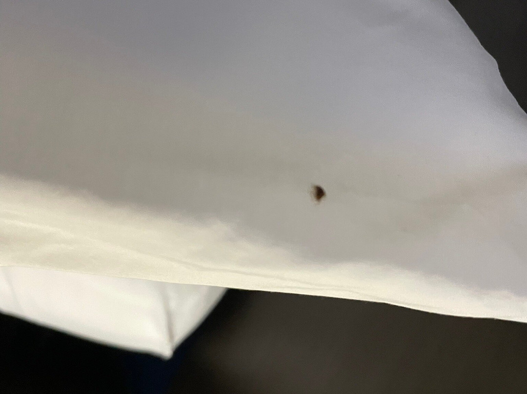 Holiday Inn & Suites Regina By IHG主图